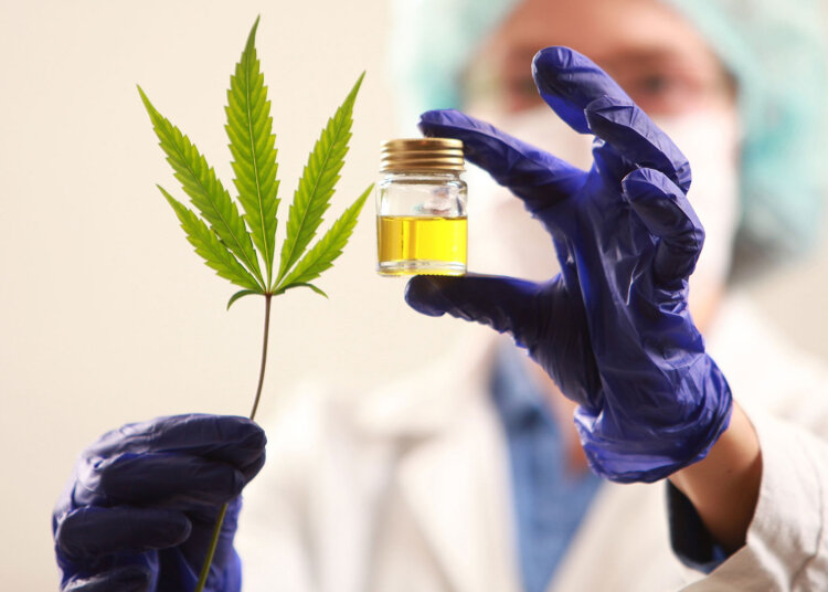 La Asoc. Cannabis Medicinal Juárez sigue capacitándose