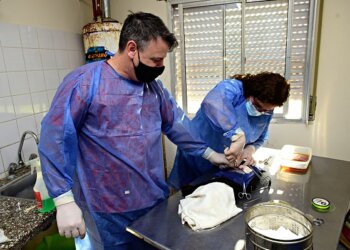 Informe mensual de la Dirección de Bromatología
