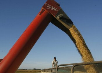 Con la soja en alza y dólar quieto, los productores quedan atrapados en un dilema: ¿vender o esperar?