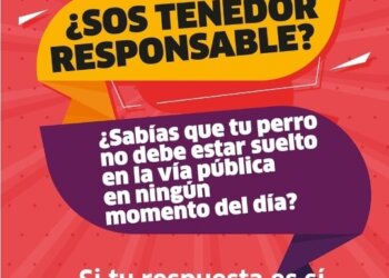 De lunes a viernes se pueden acercar al SUM de Barrio Tessone
