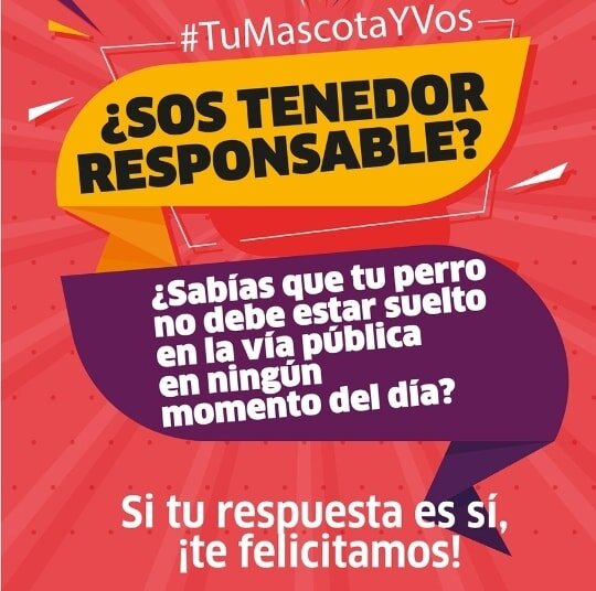 De lunes a viernes se pueden acercar al SUM de Barrio Tessone