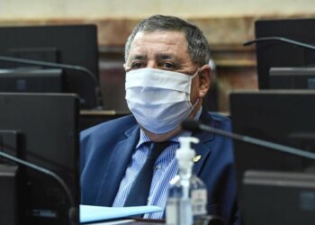 De Angeli cruzó a Cafiero en el Senado por la falta de políticas para el sector agropecuario