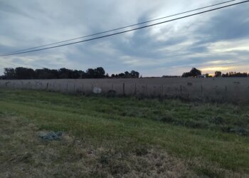 YPF proyecta invertir seis millones de dólares en Tres Arroyos