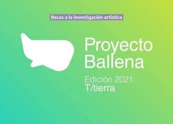 Becas Proyecto Ballena a la Investigación Artística