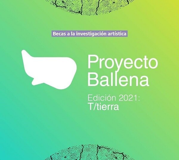 Becas Proyecto Ballena a la Investigación Artística