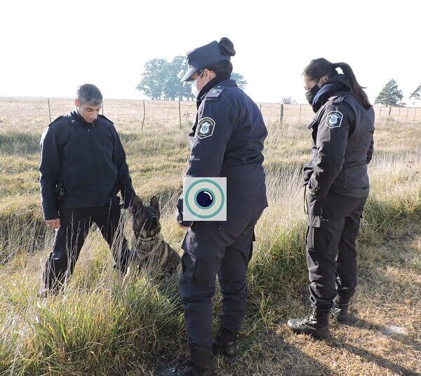 Una mañana con mucho movimiento policial en la zona rural para buscar a Miguel