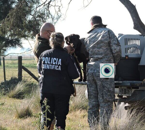 Una mañana con mucho movimiento policial en la zona rural para buscar a Miguel