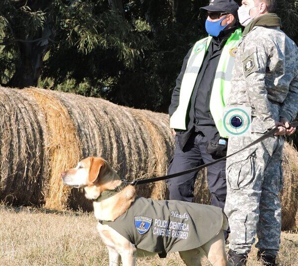 Una mañana con mucho movimiento policial en la zona rural para buscar a Miguel