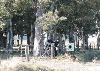 Una mañana con mucho movimiento policial en la zona rural para buscar a Miguel