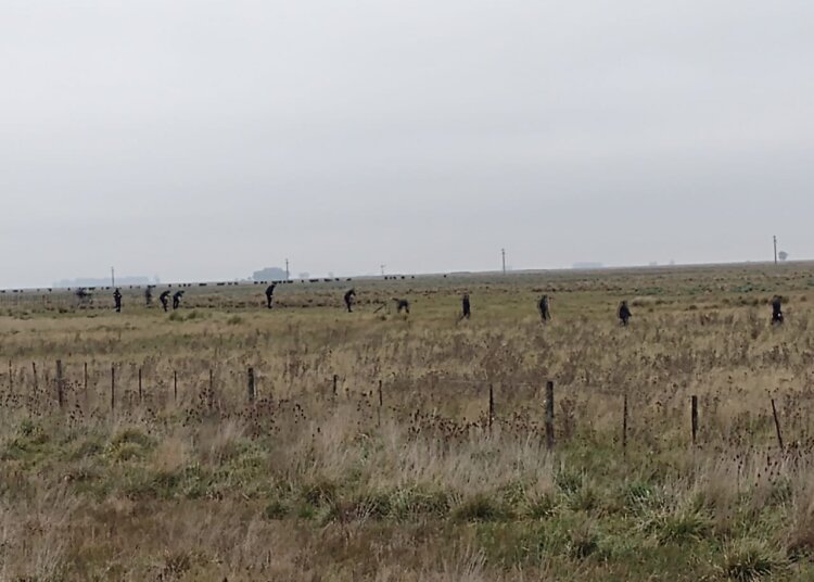 Perros, drones y mas 150 mujeres y hombres buscaron a Miguel