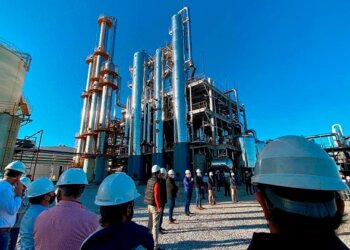 Biocombustibles: para los productores, la nueva ley “atenta contra el ambiente”