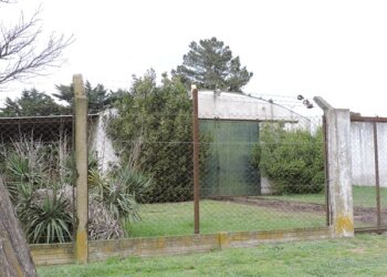 Robo de agroquímicos por más de un millón de pesos en Benito Juárez