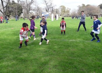 Infantiles y Juveniles jugaron en Olavarría. En Azul el Plantel Superior perdió por un punto