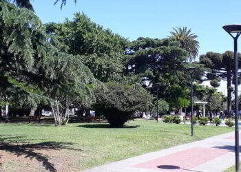 Para robarle, habrían golpeado a un hombre en la Plaza Independencia