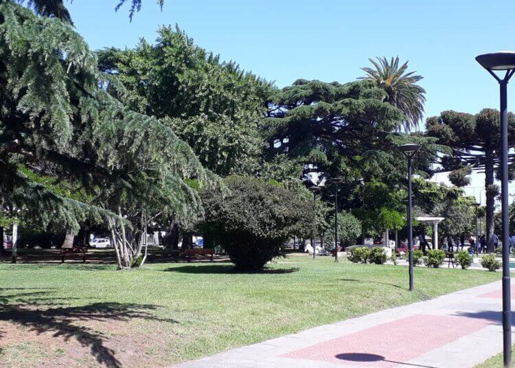 Para robarle, habrían golpeado a un hombre en la Plaza Independencia