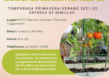 Se prevé una instancia de entrega de semillas para huertas familiares