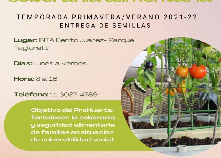Se prevé una instancia de entrega de semillas para huertas familiares