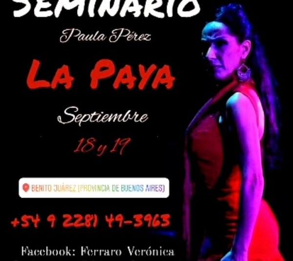 Se realiza un Seminario de Flamenco y Fusión a cargo de La Paya en Estudio Arte