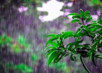 La lluvia en Benito Juárez sumó un total de 18mm