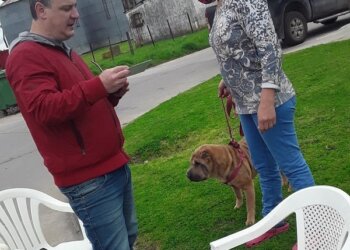 Vacunación Antirrabica en el Barrio José Hernández