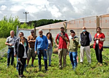 El Intendente Julio Marini visitó las Huertas Orgánicas