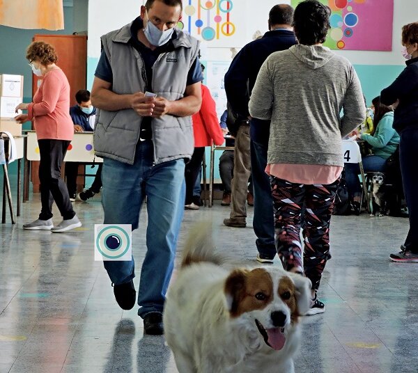Imágenes de este domingo eleccionario