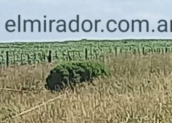 Accidente fatal en ruta 74 a pocos km del ingreso a María Ignacia Vela