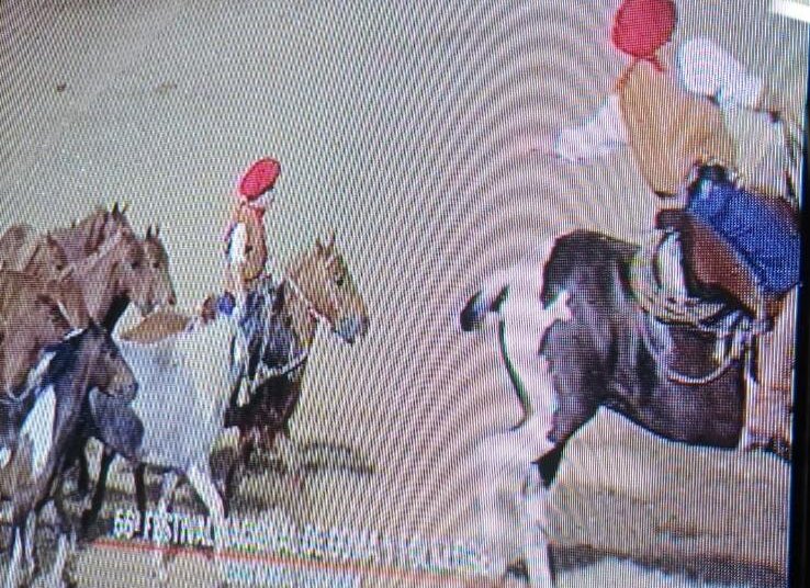 Severiano Larralde de 4 años con sus Alazanes se presentó en el campo de Jesús María