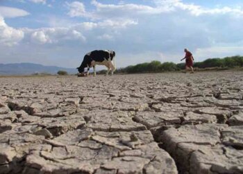 El Gobierno admitió preocupación por la sequía
