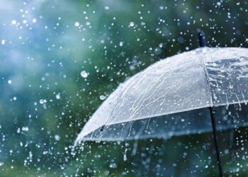 Después de la lluvia el alivio, se viene una semana con temperaturas de verano