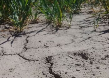 La Coalición Cívica pide emergencia agropecuaria en toda la Provincia