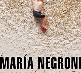 Un libro para la reposera: “El corazón del daño”, de María Negroni