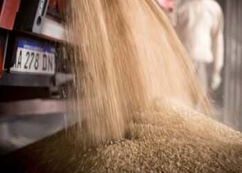 Comercio Interior avanza en trigo, hortalizas y canasta de 75 productos