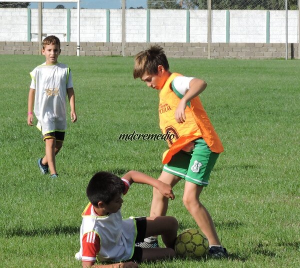 Fueron presentados los profesores de las categorías Infantiles del Club Argentino