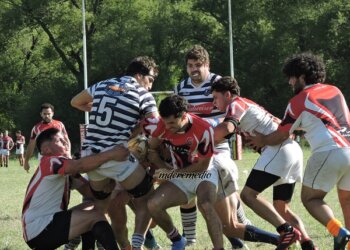 Los juveniles jugaron con Saladillo y el Plantel Superior ante Los 50 de Tandil