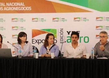 Pese a la suba del trigo y la soja, el maíz temprano sigue siendo lo más rentable en la zona núcleo