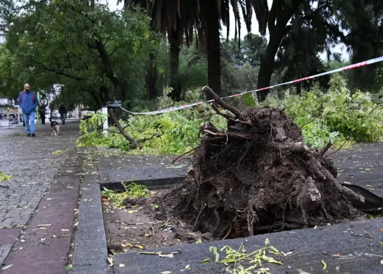“Es un hecho sin precedentes”, resaltan desde Defensa Civil