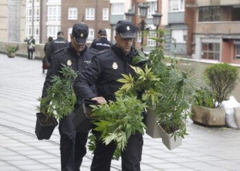 Cannabis: exigen capacitar a policías para evitar detenciones de cultivadores