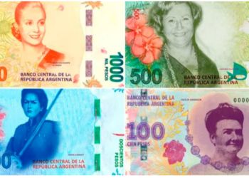 El Gobierno anunciará el reemplazo de los animales de los billetes por próceres y más presencia femenina