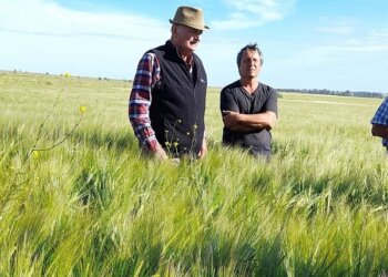 Fue pionero en la agroecología y su ejemplo animó a cientos de productores: “No conozco a nadie que se haya arrepentido”