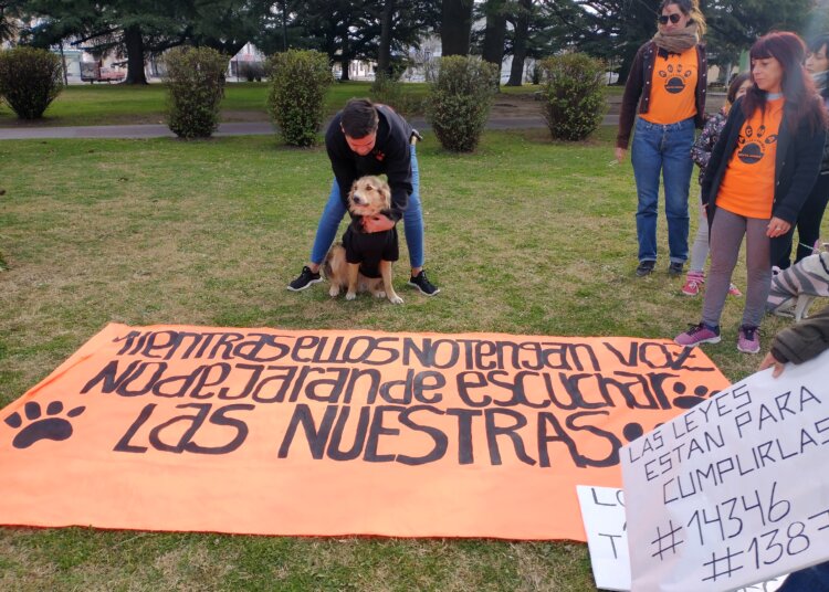 La protectoras se reunieron en la plaza y leyeron un documento