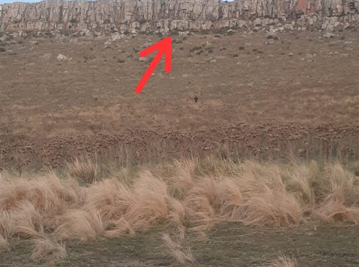 Un joven de Cháves perdió la vida cuando practicaba parapente en los cerros de Barker