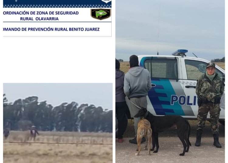 Se labraron dos infracciones a cazadores en Benito Juárez