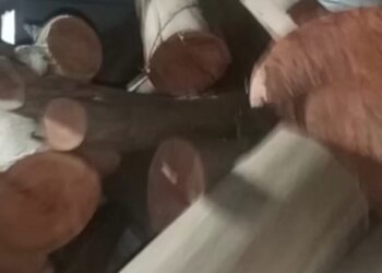 Dos aprehendidos en la subcomisaría de Villa Cacique