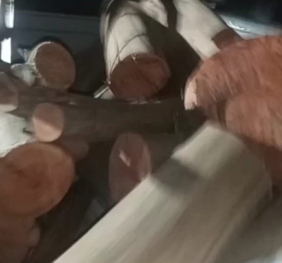 Dos aprehendidos en la subcomisaría de Villa Cacique