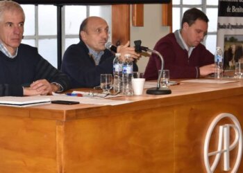 «Hoy nadie tienen la capacidad política de decidir que vamos a hacer» aseguró Salaverry