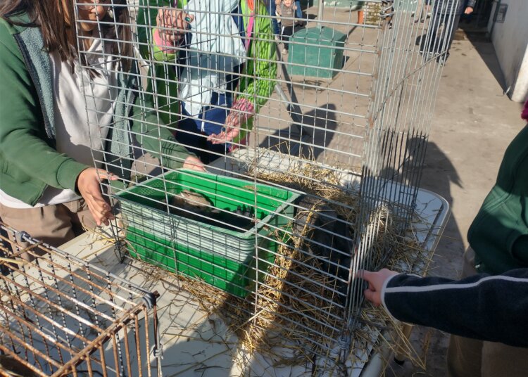 Se celebró el día de la Educación Agraria