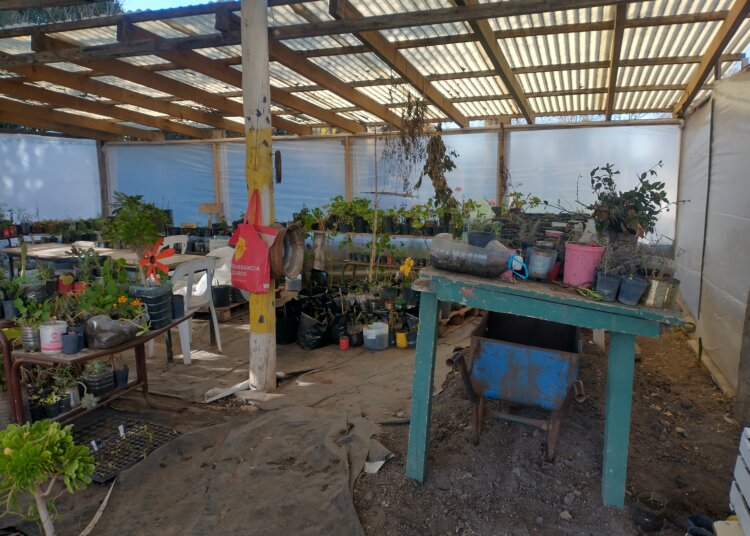 Se celebró el día de la Educación Agraria