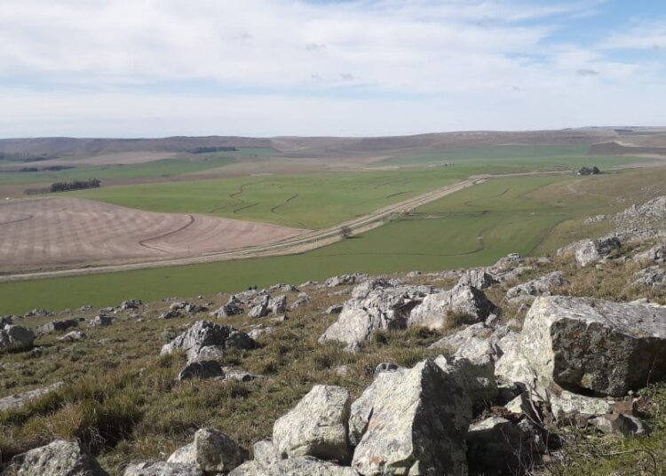 Continua la búsqueda de Matías, hoy se extendió hasta las sierras de Barker