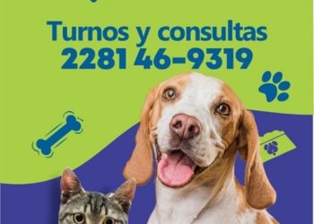 Dosis gratuitas de Vacuna Antirrábica en veterinarias locales